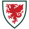 Wales World Cup 2022 Men